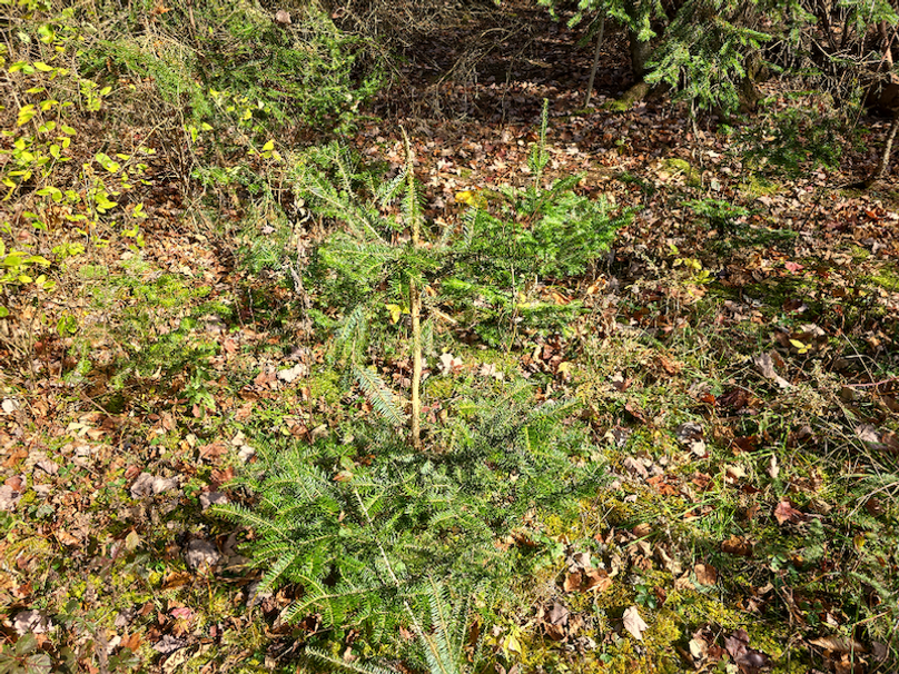 photo_4ce75709-5020-4a24-8b10-b778dd7f198b