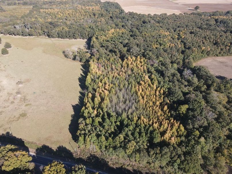 dji_fly_20241017_161036_343_1729199453047_photo
