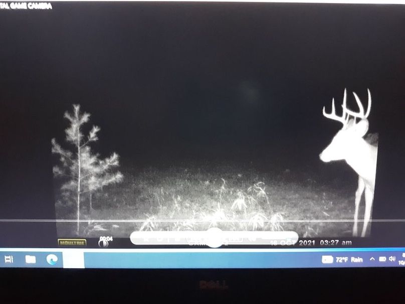 Resized_20211016_202133