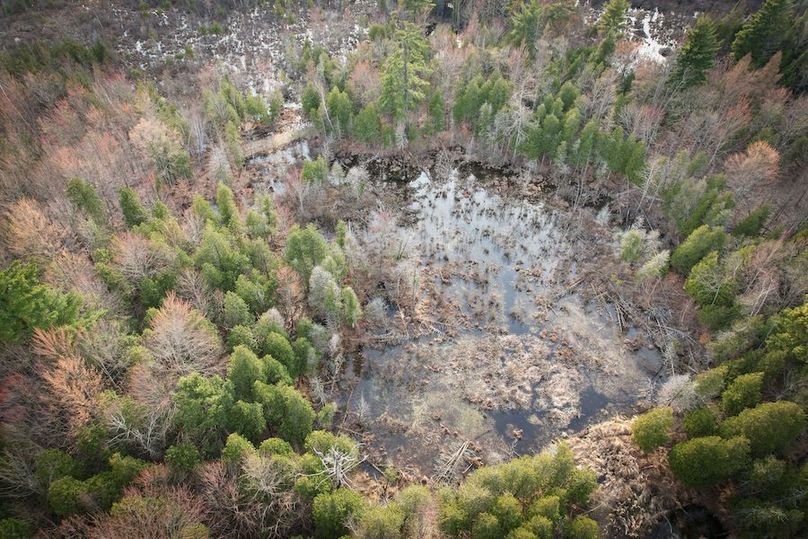 StLawrence_142.7_Bosse_Photos_34