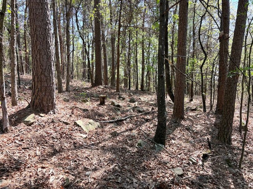 750FC11D-635B-49B3-9809-30C6050AE820_1_201_a