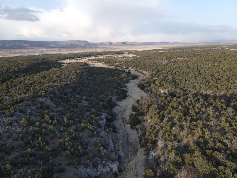 21_Pratt Landscapes 4