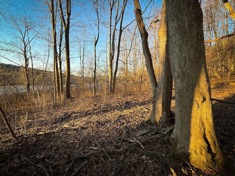 Cayuga 32 Stoyell Photos 58