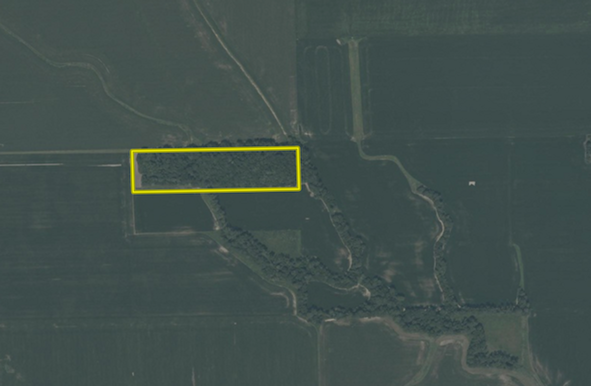 Screenshot 2026-02-13 at 8.51.39 PM