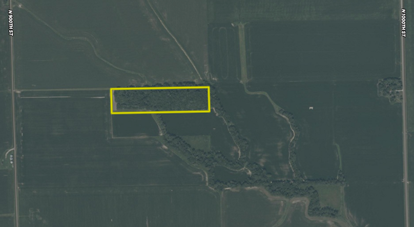 Screenshot 2026-02-13 at 8.51.39 PM