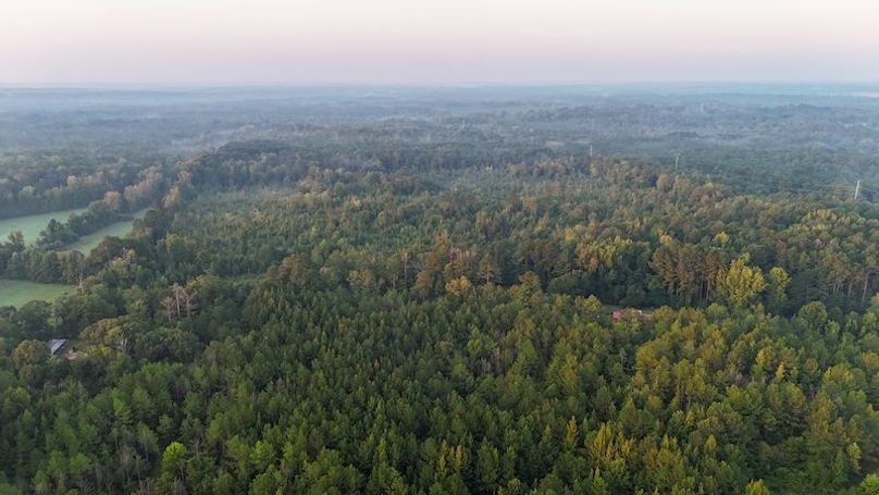 Madison Co - 40 - Clerk-28