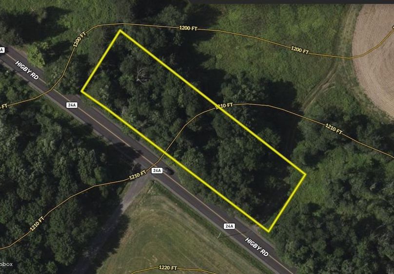 Oneida 1.26 Shaheen Topo