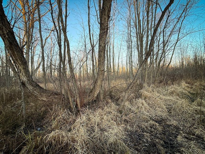 Wayne_29.09_BD_LandNorth_Parcel_11