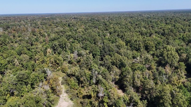 dji_fly_20251015_011354_0078_1760476740658_photo