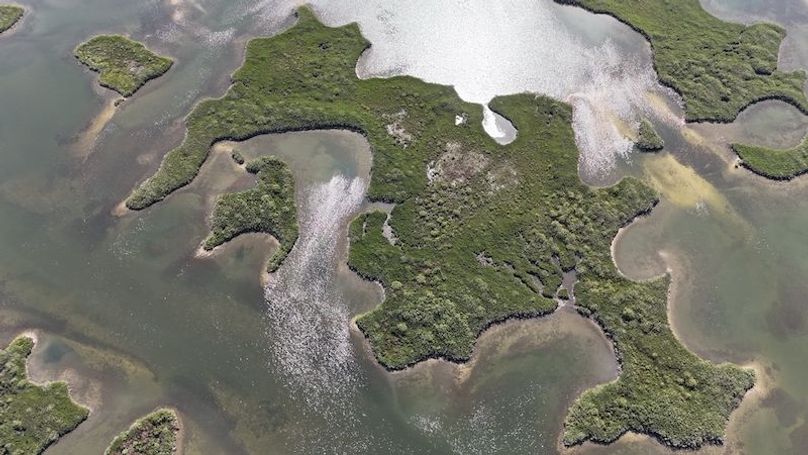 17.17ac, Citrus, Josiah Ronco07