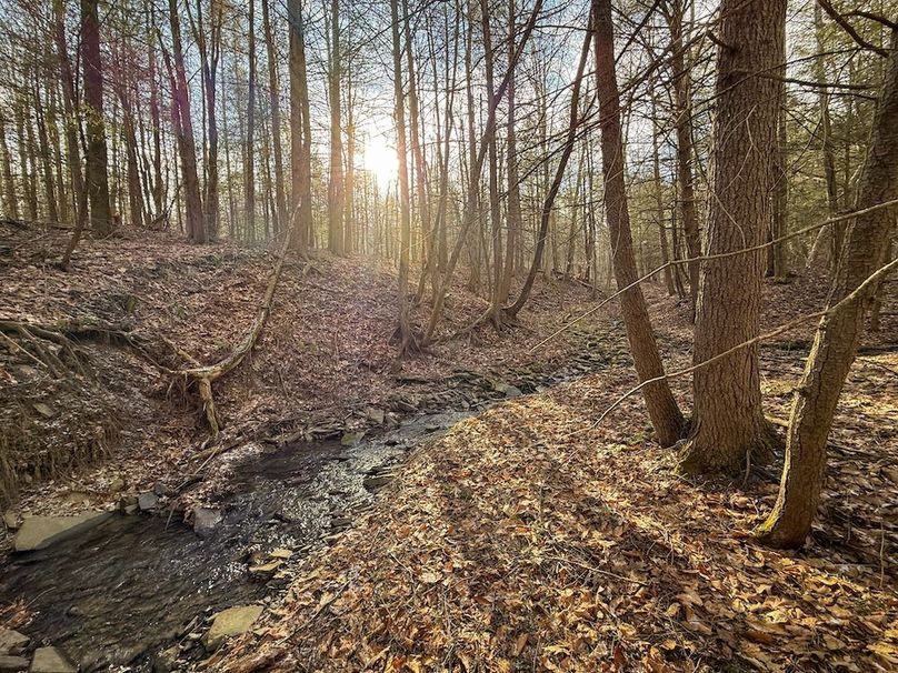 Chemung_59.65_Kocsis_photos_30