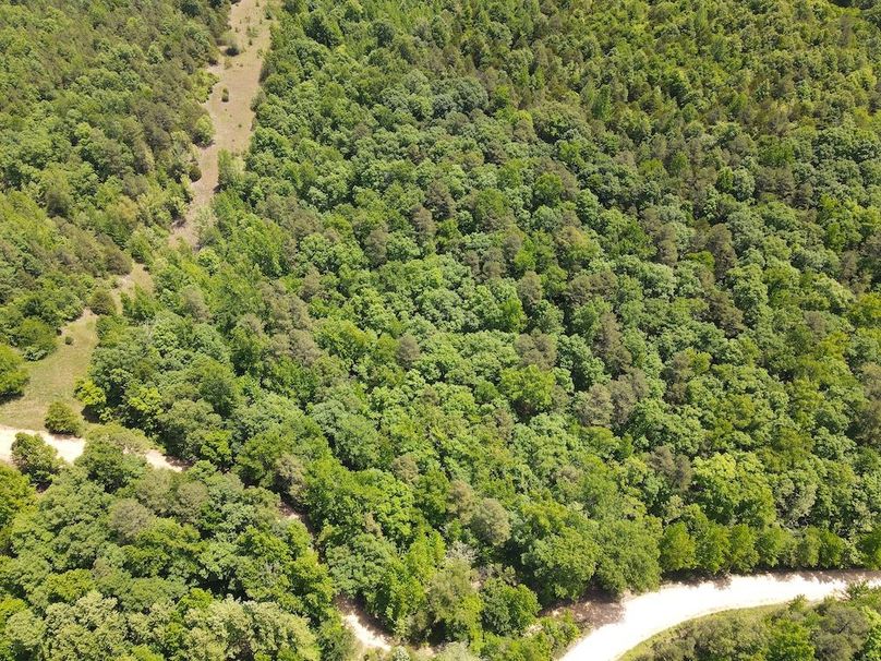 dji_fly_20260514_121536_814_1778778997865_photo