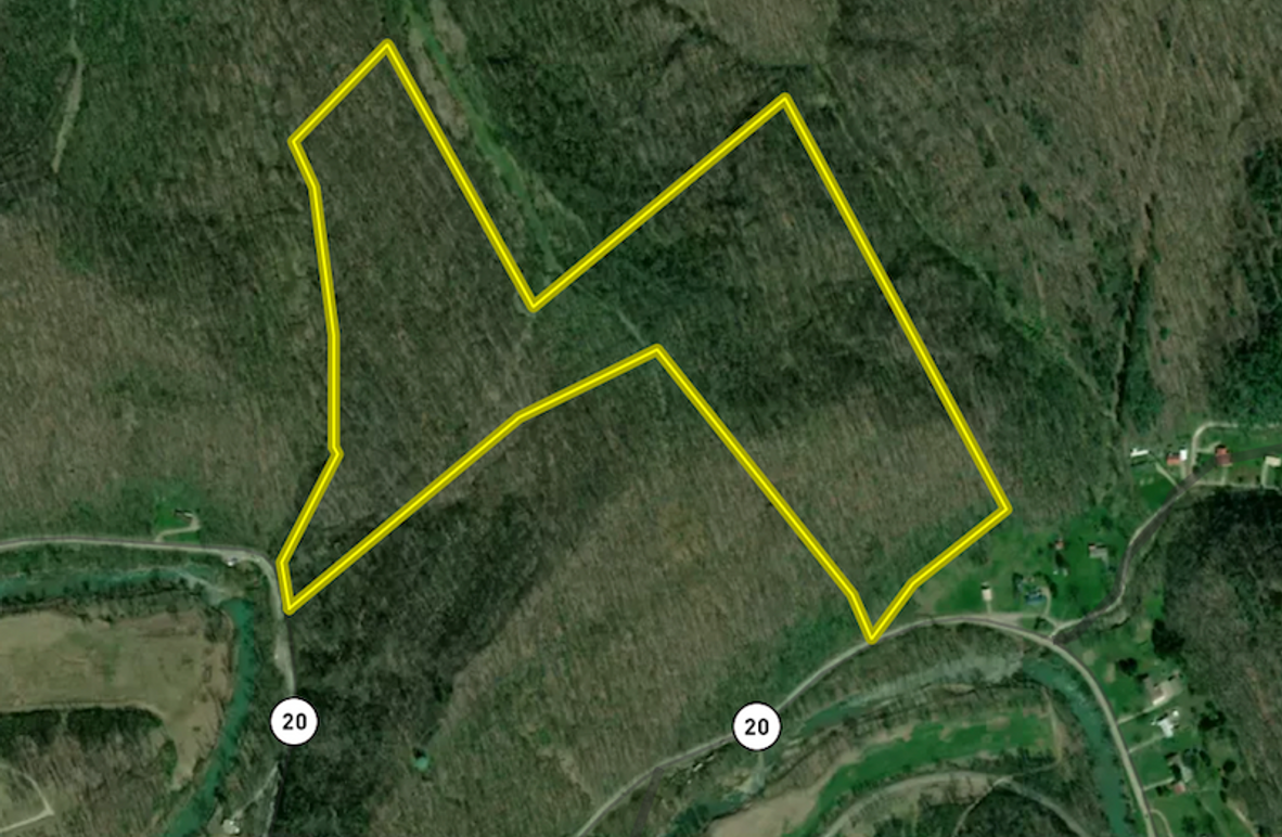 Screen Shot 2024-06-05 at 7.28.04 AM