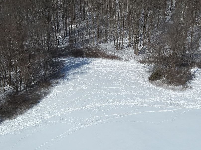 DJI_20260207115313_0012_Z