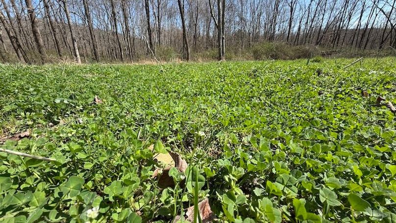 Butler 118 Capella37