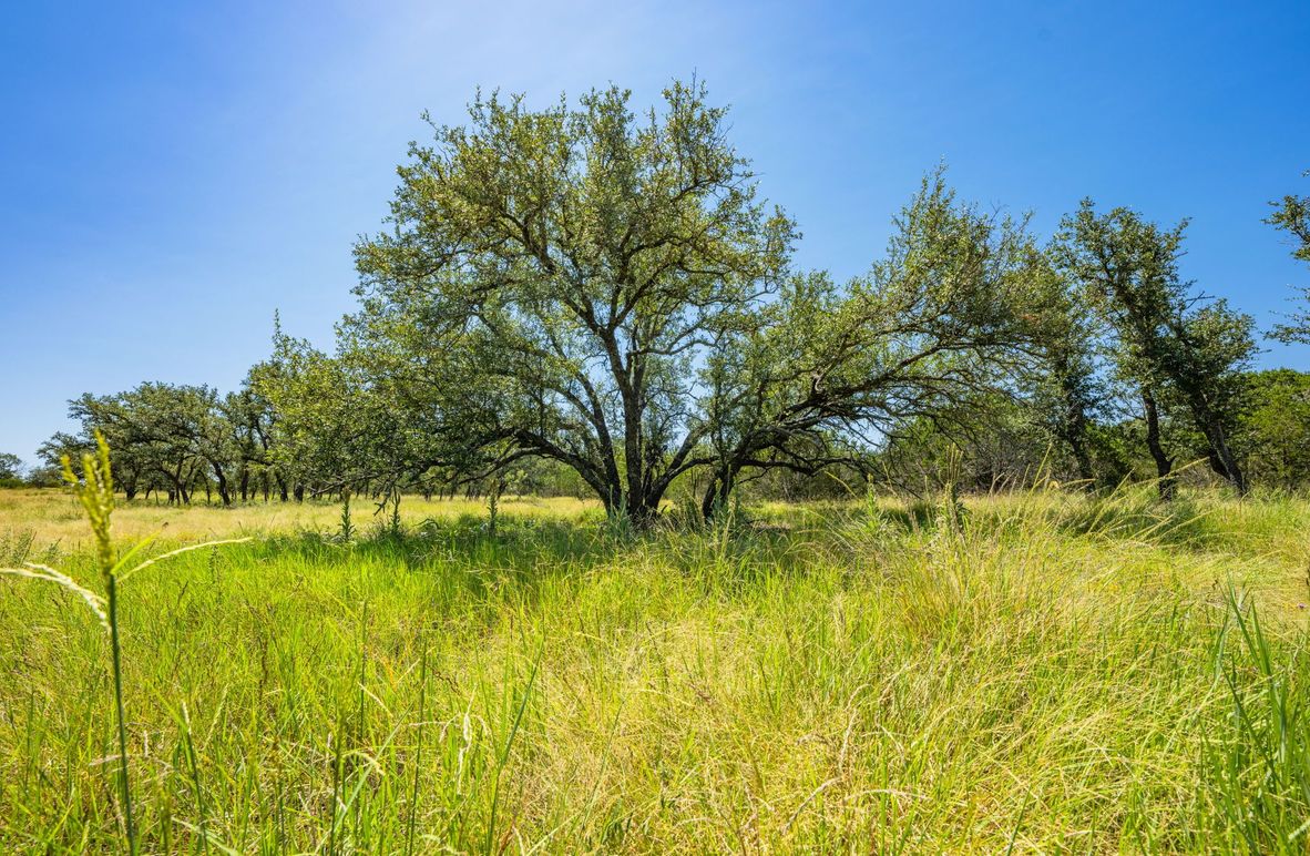 5-web-or-mls-DSC08319