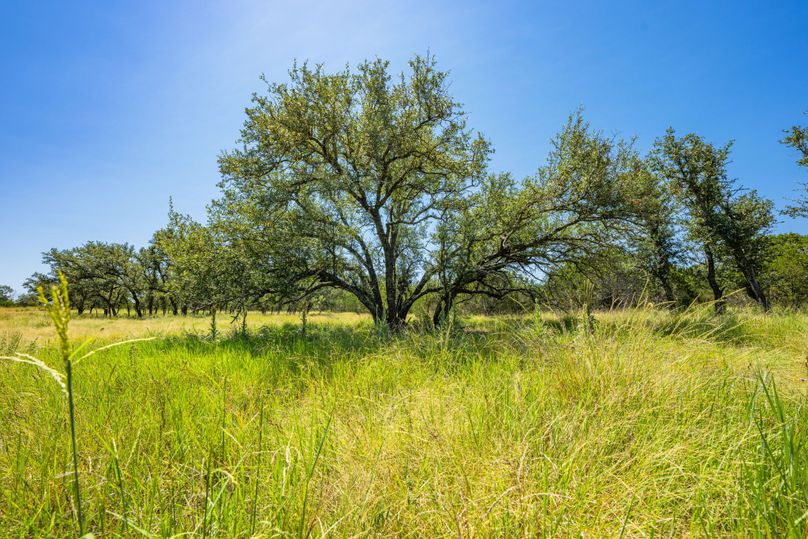 5-web-or-mls-DSC08319