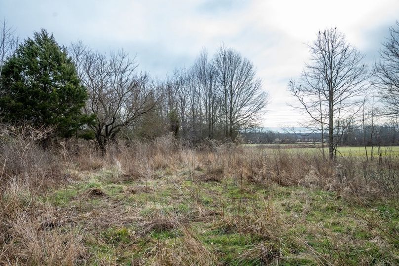 Copy of DSC00758 Large