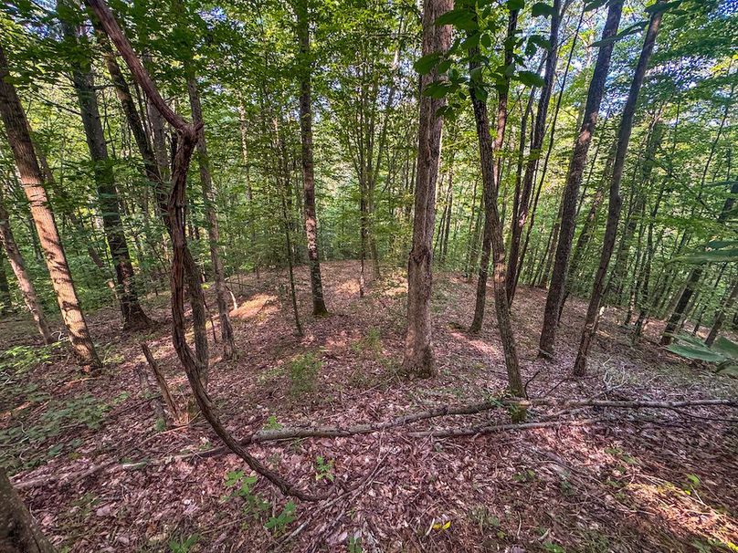 Lewis, WV 82.87 AC Barger-111