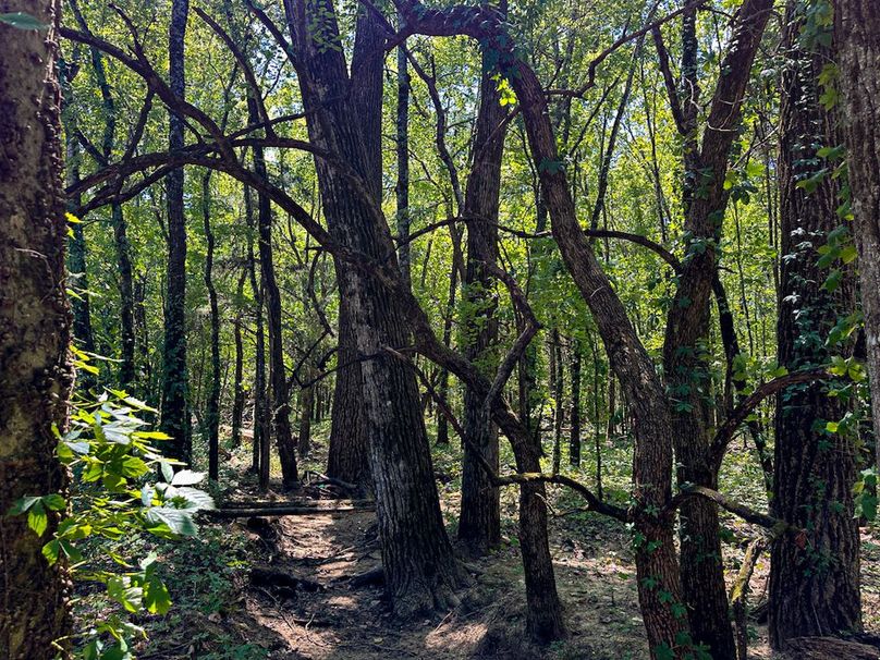 Chickasaw 160 Porter-21