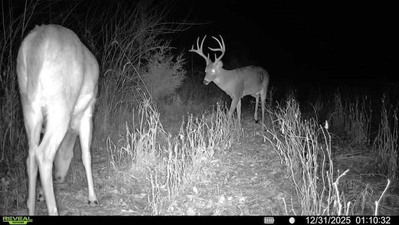 016579001744932-83-3-12312025011032-V-SYFW06981