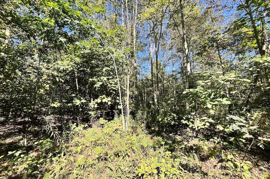 Chemung_10.725_Rouseland_Lot6_Photos_6