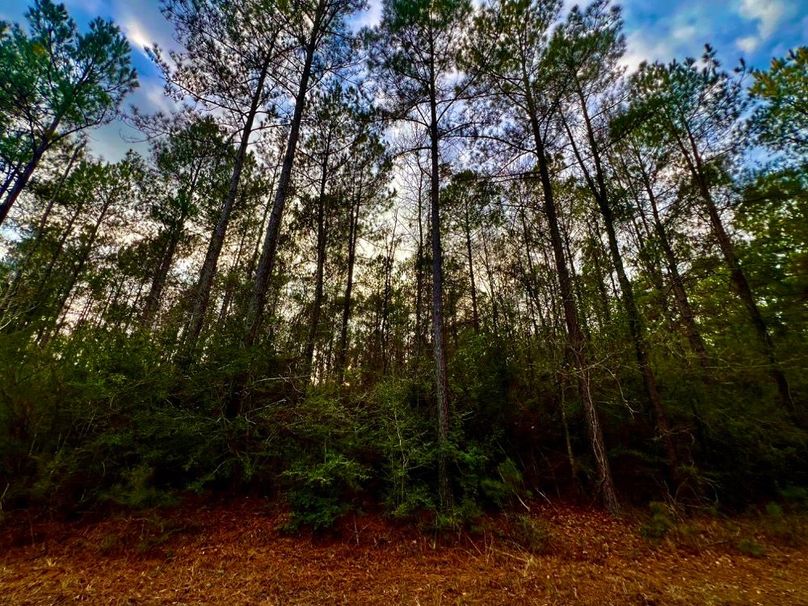 D93D7B76-C025-46B4-B5EC-07AF2398E8E2_1_201_a