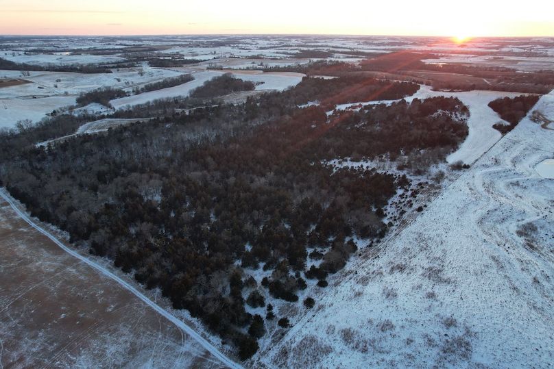 DJI_0552