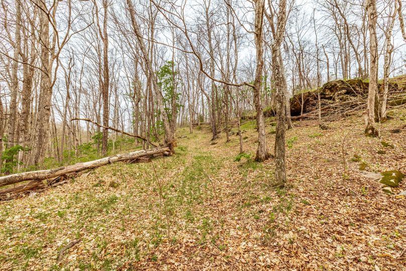 37-web-or-mls-Wolf Hill-15