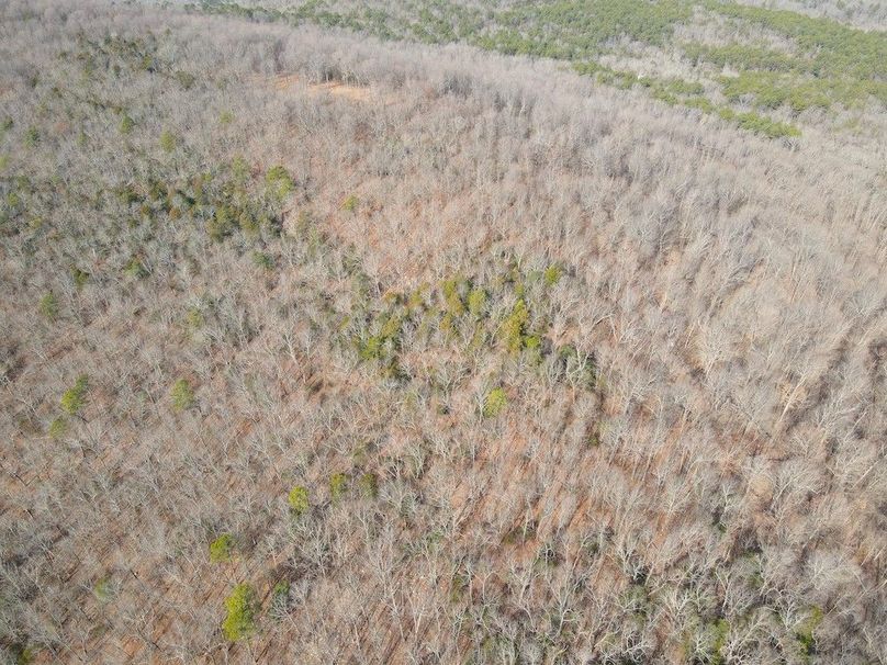 DJI_0647