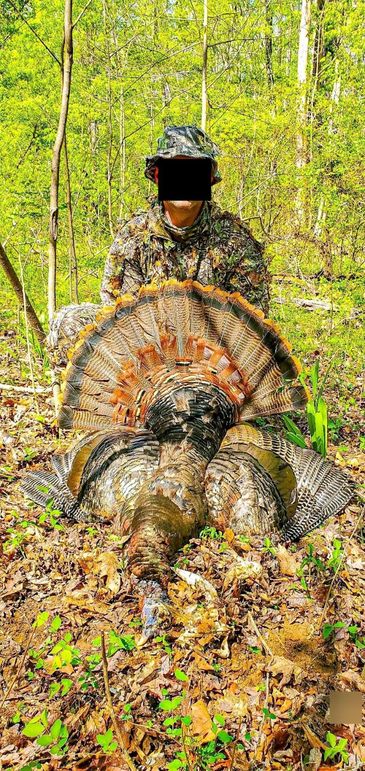 Henry_240-78_face_blurred_v2