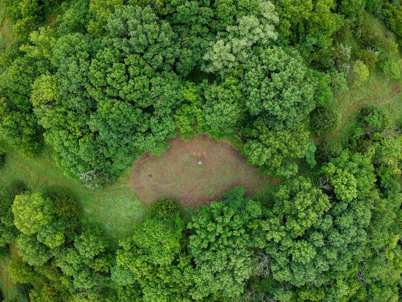 DJI_20250630064712_0267_D