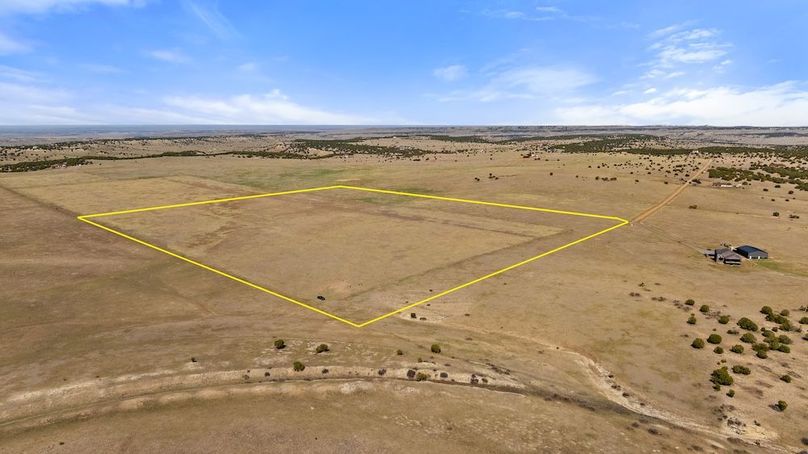 DJI_20250408163604_0008_D (1)