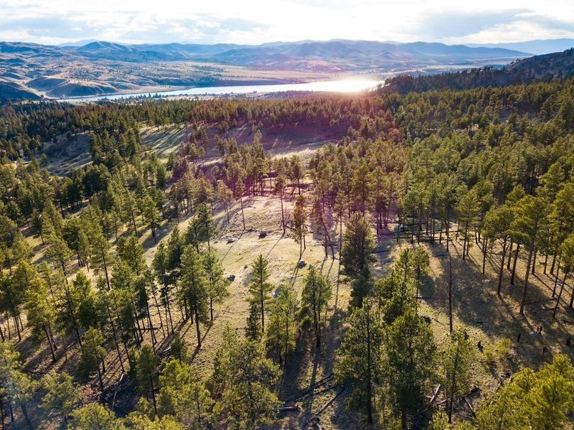 20250430-DJI_0039