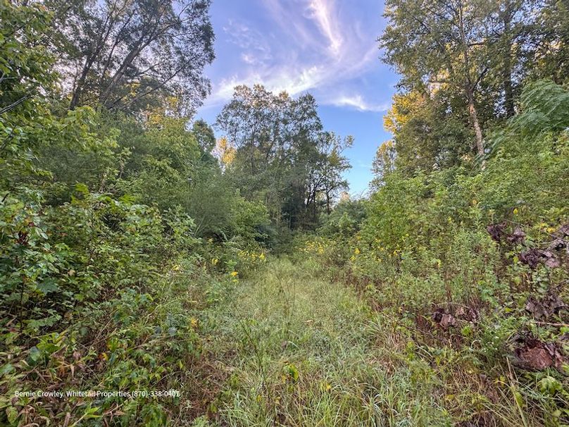 DeSoto 109 Prewett -24