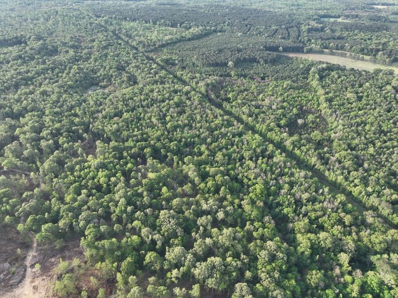 dji_fly_20260407_083156_346_1775580370551_photo