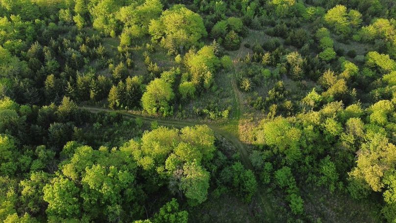 PAGE CO IA 130+_-_57