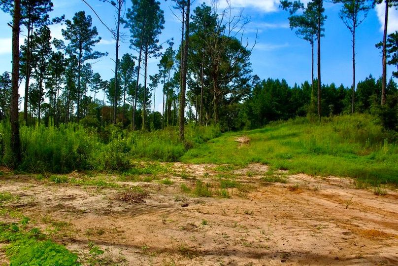 40523972-3D1B-4B09-8A5A-0E67466B8910_1_105_c