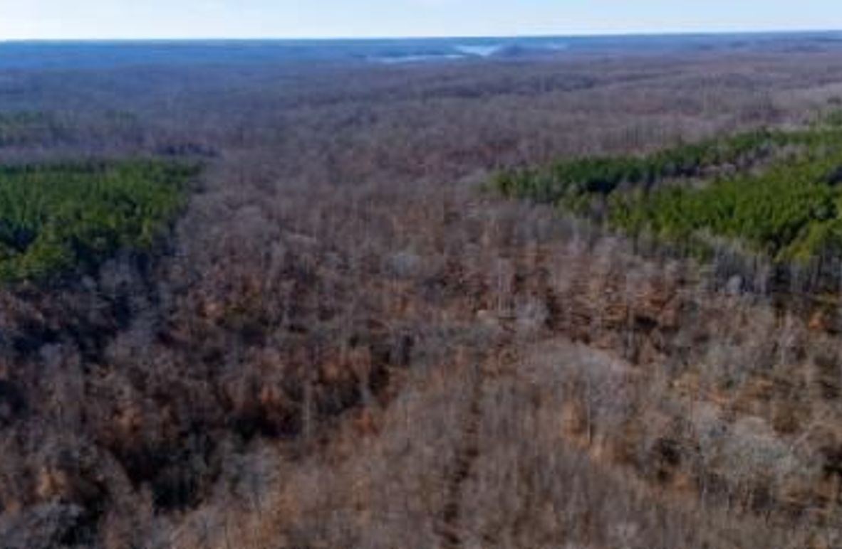 mckinnon tract 14-04