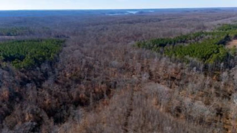 mckinnon tract 14-04