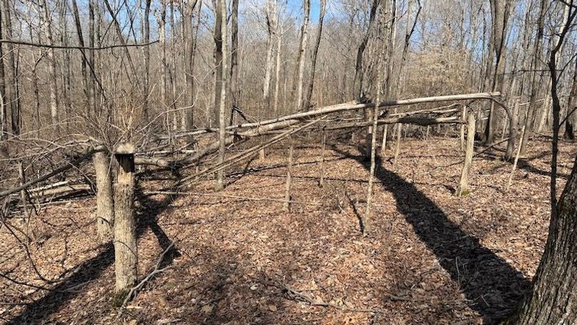 Butler 118 Capella11