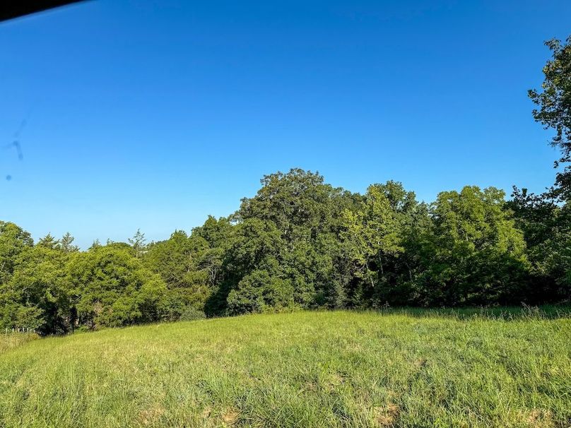 Fleming 32.98 new pic -04