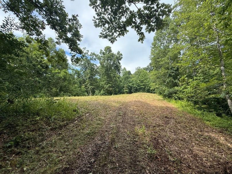 010 small open field area in the east part of the property
