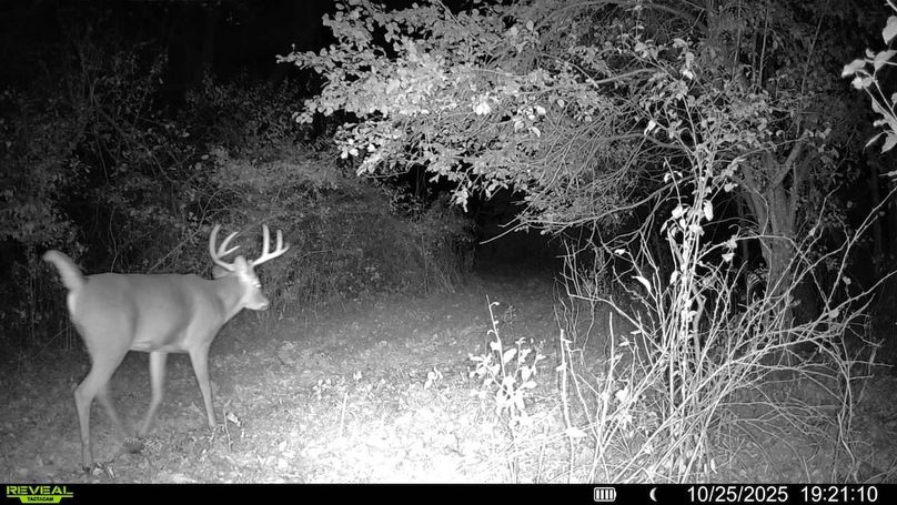 016579008048089-100-4-10252025192110-SYFW00010