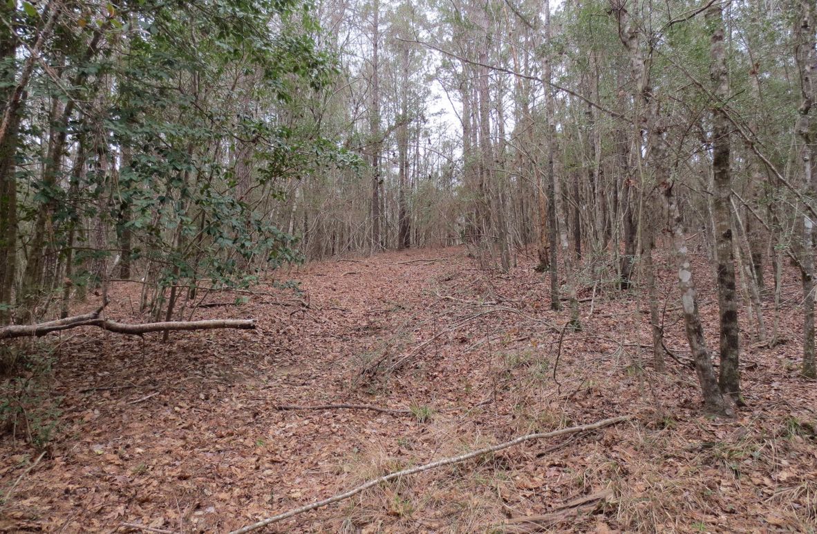 5F1F6573-45A2-4D0C-8BC4-AB4AE7E2FDAF