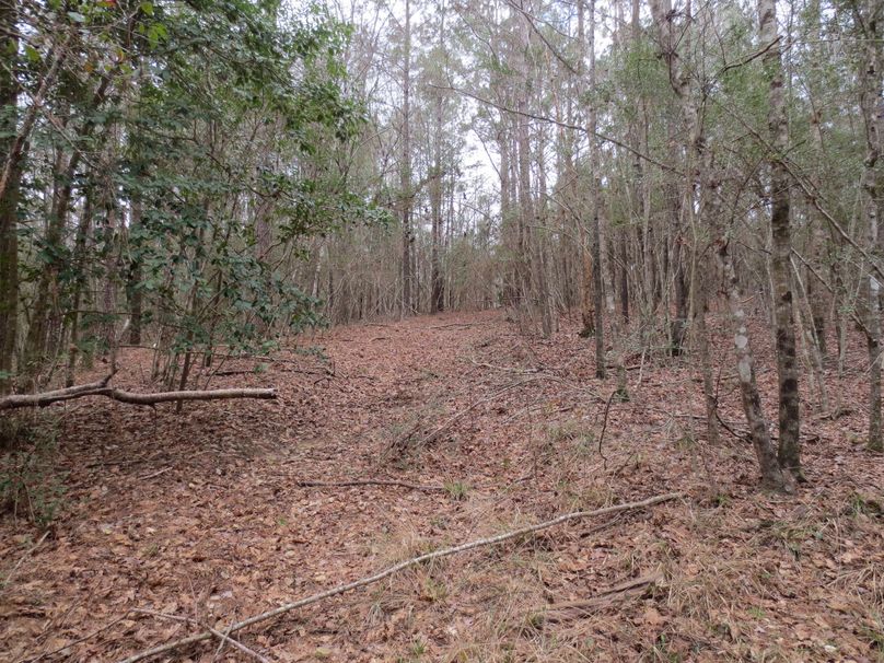 5F1F6573-45A2-4D0C-8BC4-AB4AE7E2FDAF