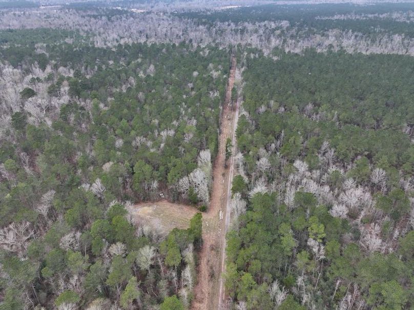 dji_fly_20260123_105350_0898_1769444794797_photo