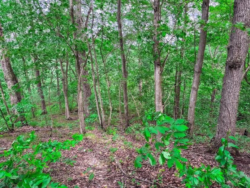 Wirt, WV 137.45 AC Full-27