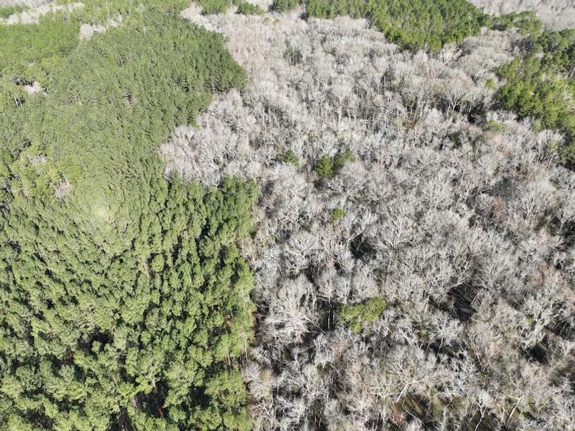 dji_fly_20240207_104004_51_1707320793017_photo