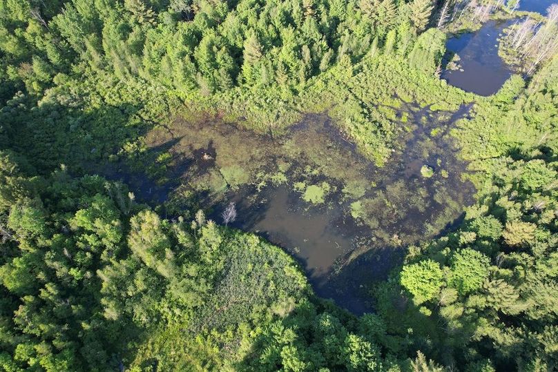 Jefferson_260.3_ Lobach_Photos_63